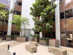 The Adelphi (D6), Office #567537911